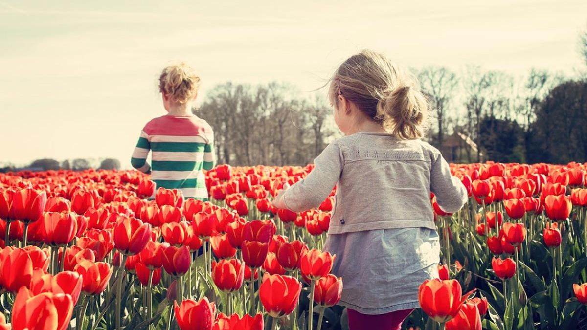 vremea prognoza meteo anunta vreme deosebit de calda