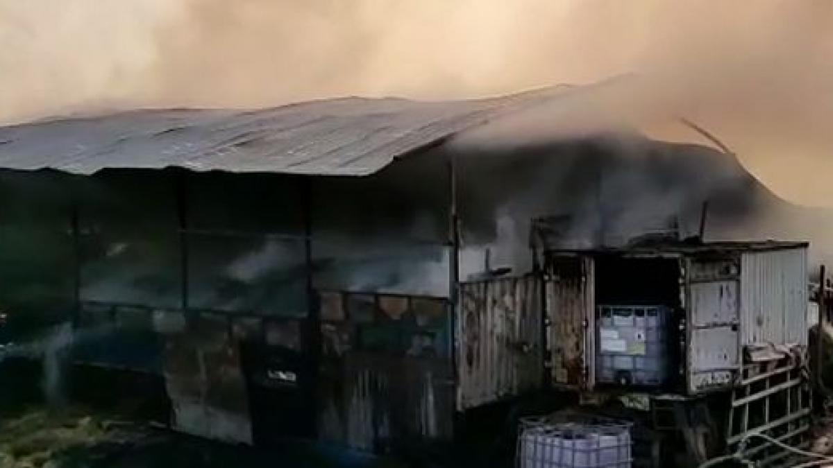 ferma de porci din judetul arges in flacari pericol de explozie