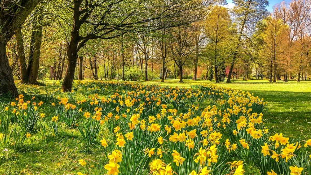 locul din romania cu cel mai curat aer