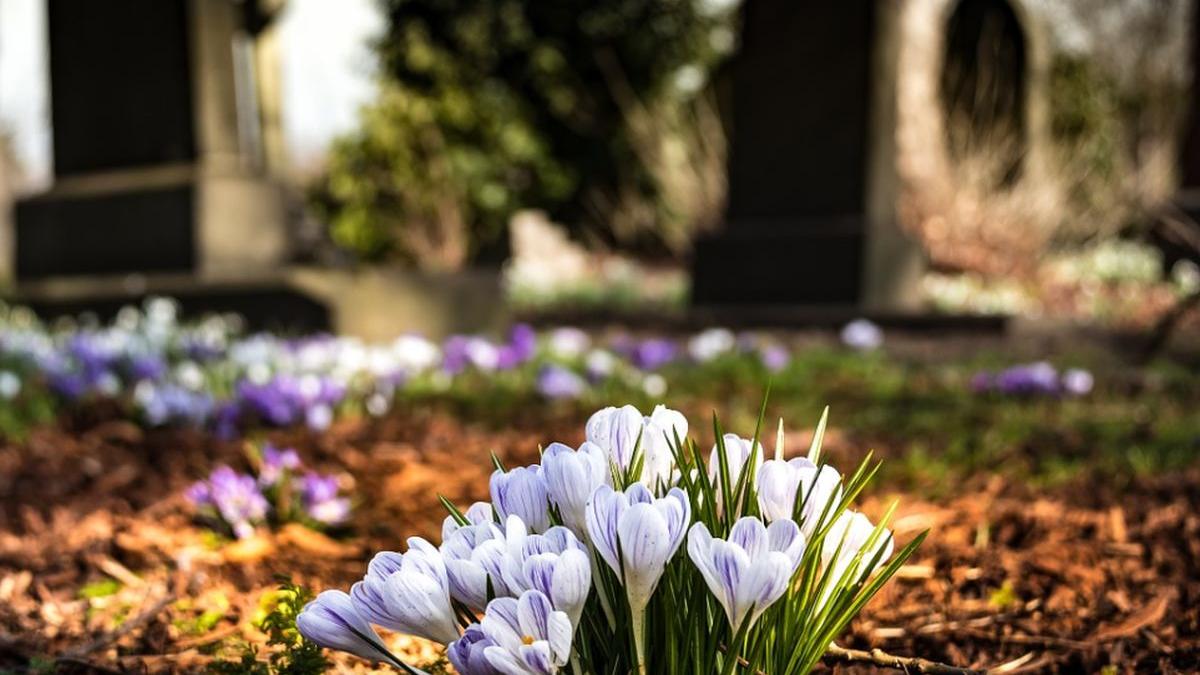 un gradinar german care a murit de curand e suspectat ca a pregatit capcane mortale pentru