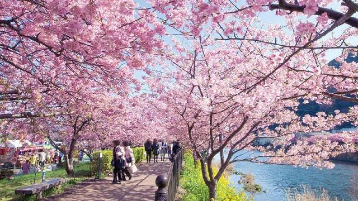 vremea prognoza meteo pentru perioada 9 martie 1 aprilie primavara isi face simtita prezenta in