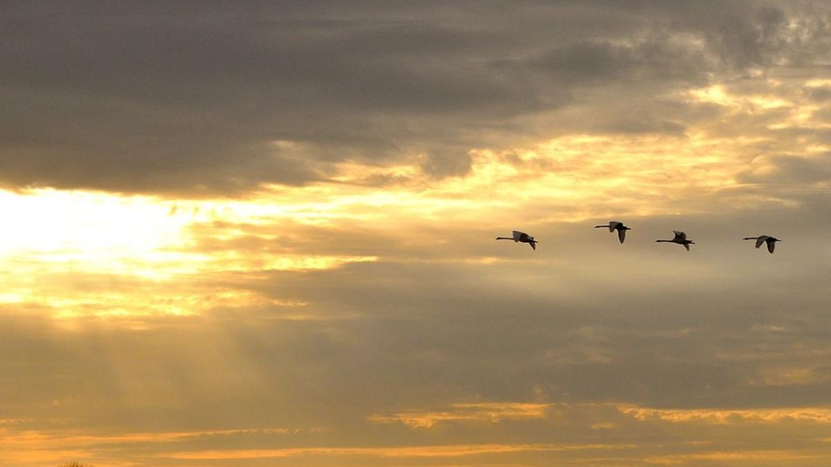 vremea prognoza meteo pana pe 8 aprilie