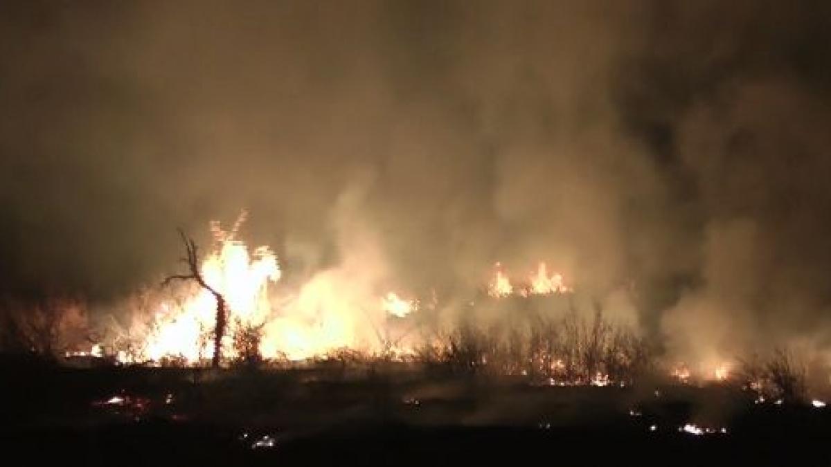 un tren care se indrepta spre movileni nevoit sa opreasca din cauza unui incendiu de vegetatie