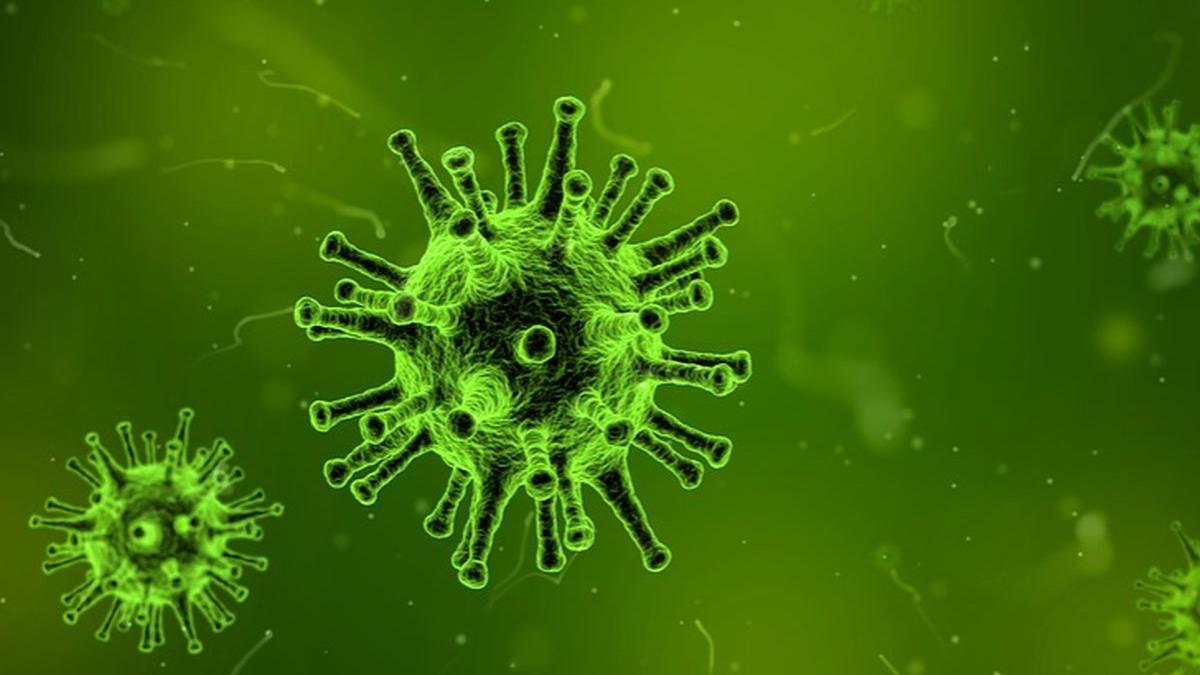 avertisment al oms o noua pandemie de gripa este inevitabila lumea trebuie sa se pregateasca