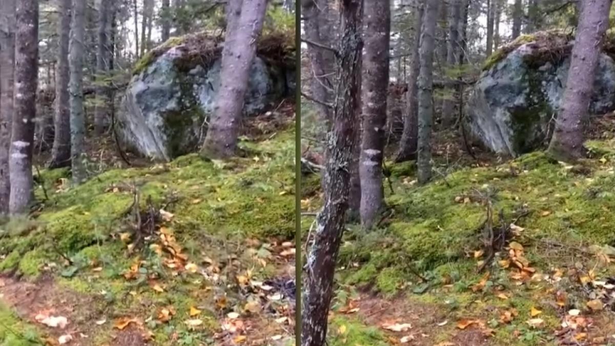 doua fete de 15 ani la un pas de moarte intr o padure din tulcea copilele se aflau pe marginea