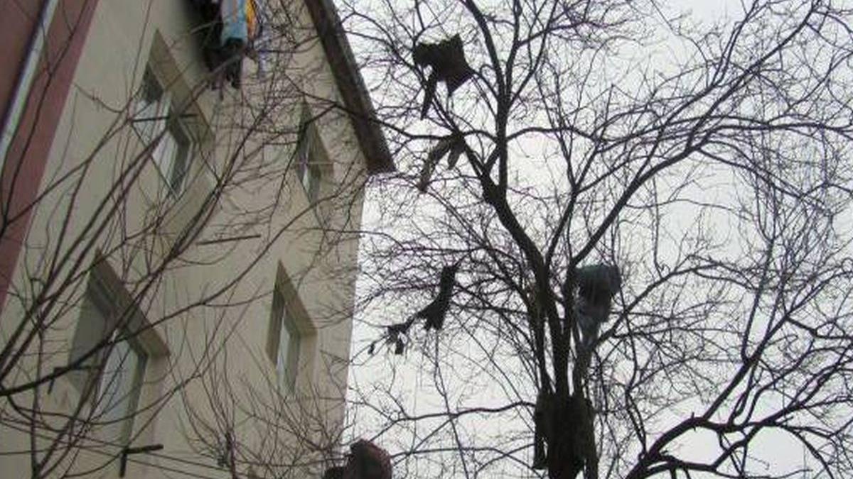 o femeie din timisoara a chemat pompierii sa i dea hainele jos din copaci dupa ce sotul i le a