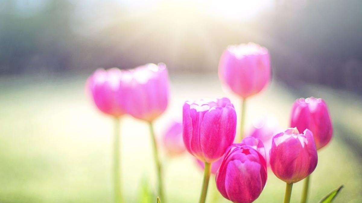 vremea prognoza meteo pentru urmatoarele zile cand se va incalzi