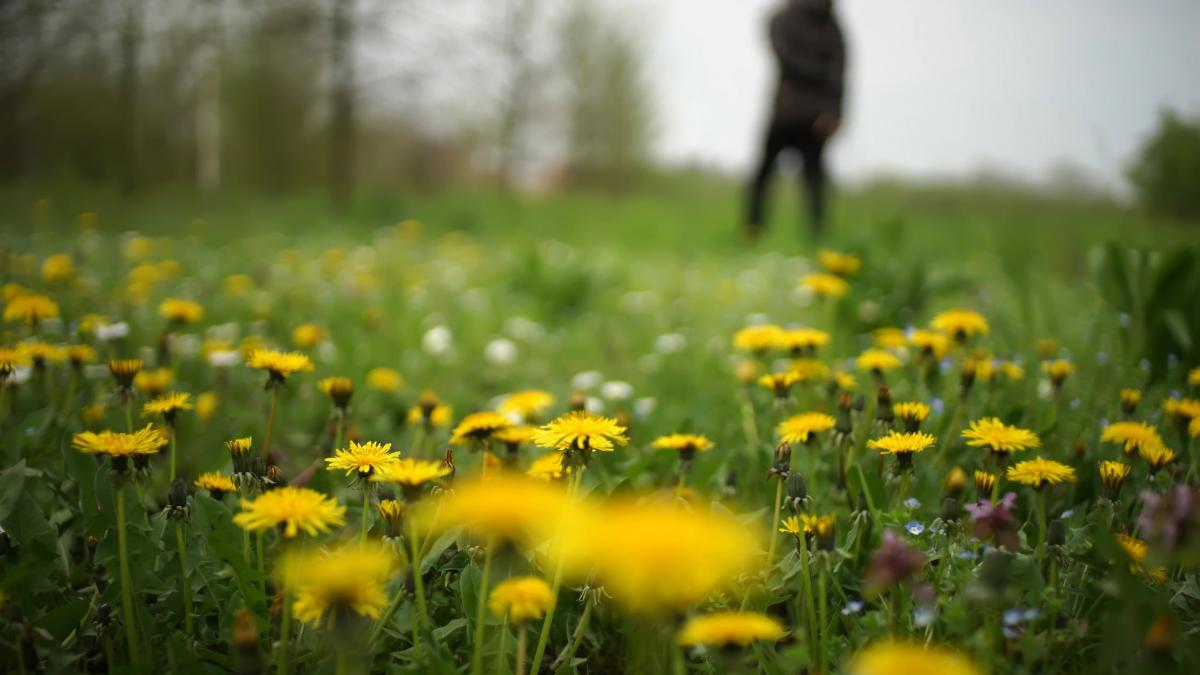 vremea prognoza meteo pana pe 8 aprilie de cand scapam de ploi