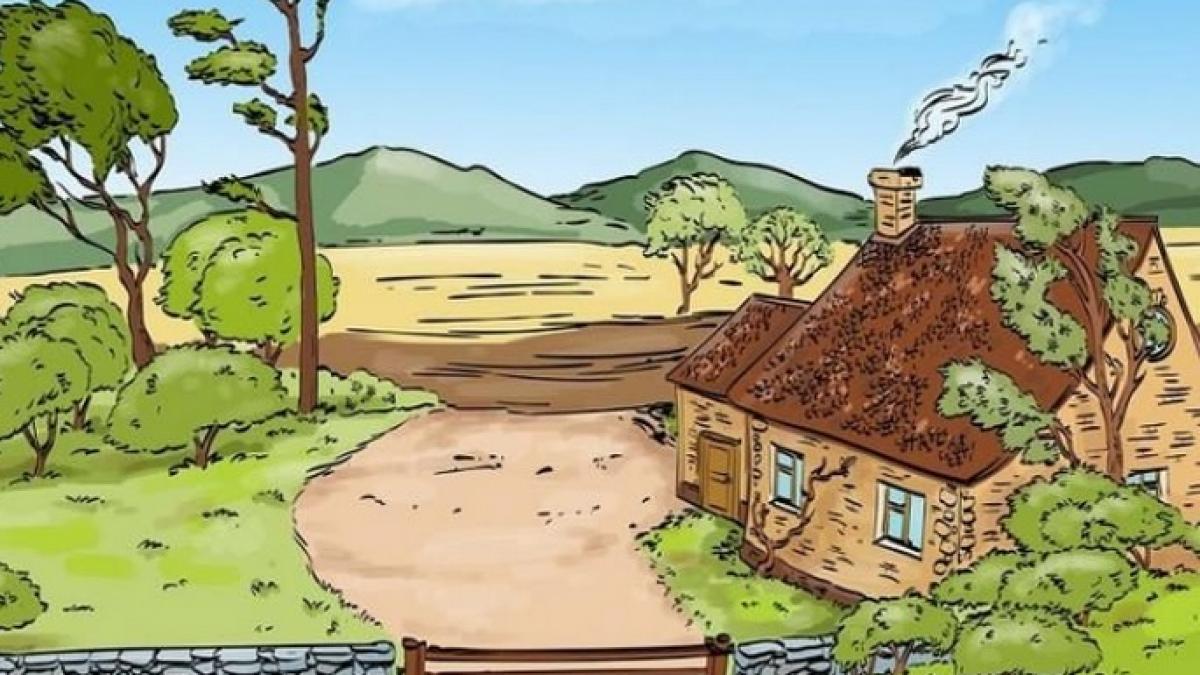 foto doar 1 din 5 persoane observa greseala din aceasta imagine ce este in neregula