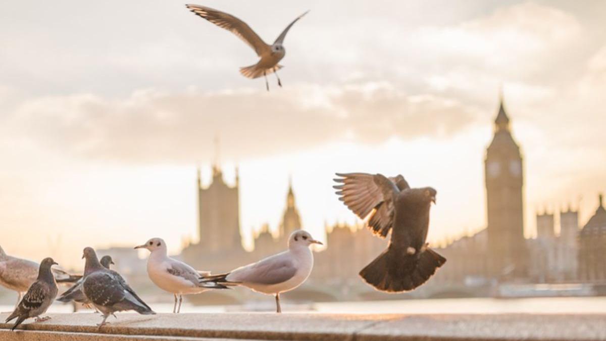 alerta meteo ce se intampla in lunile mai si iunie in nordul europei