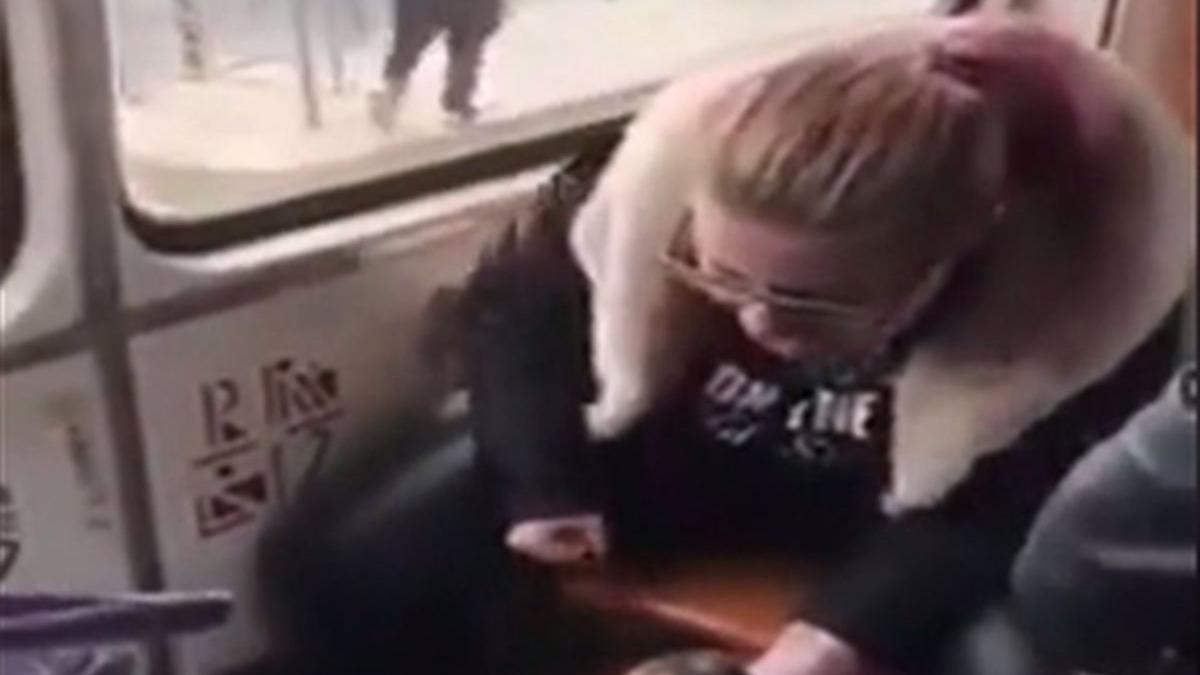 fata care si a batut cainele intr un tramvai din capitala a fost amendata