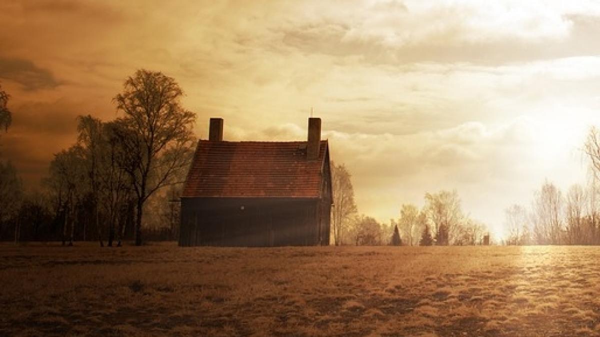 gemenii au inceput sa se certe pentru casa parinteasca dar nimeni nu se astepta la ce avea sa urmeze