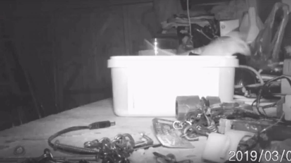 pensionarul isi lasase lucrurile imprastiate in magazie dar a doua zi le a gasit in ordine nu i