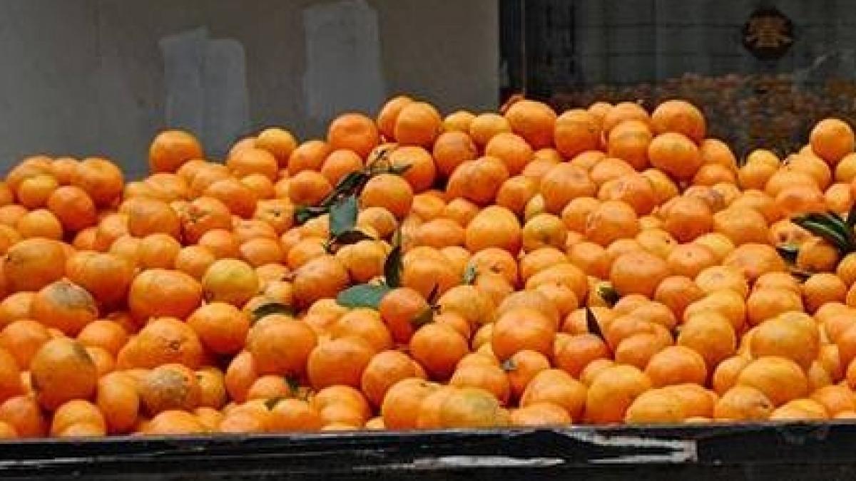 acestea sunt alimentele care te scapa de stres trebuie sa incerci si tu asta