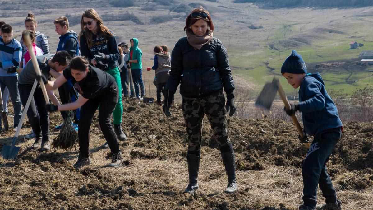 banca transilvania prietenoasa cu mediul peste 300 000 de euro pentru actiuni de voluntariat