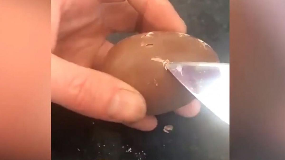 surpriza ingrozitoare pentru o tanara nu i a venit sa creada ce a putut sa gaseasca intr un ou de