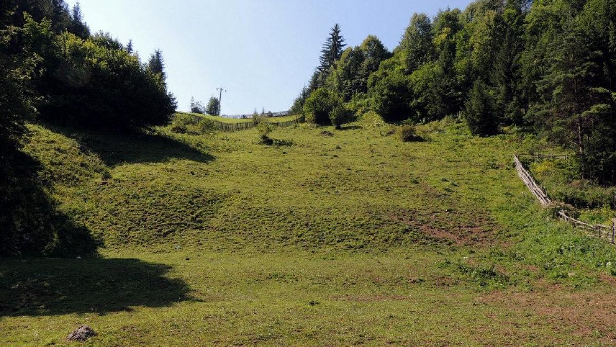 incident grav in neamt un barbat a cazut de pe o stanca si s a lovit la cap