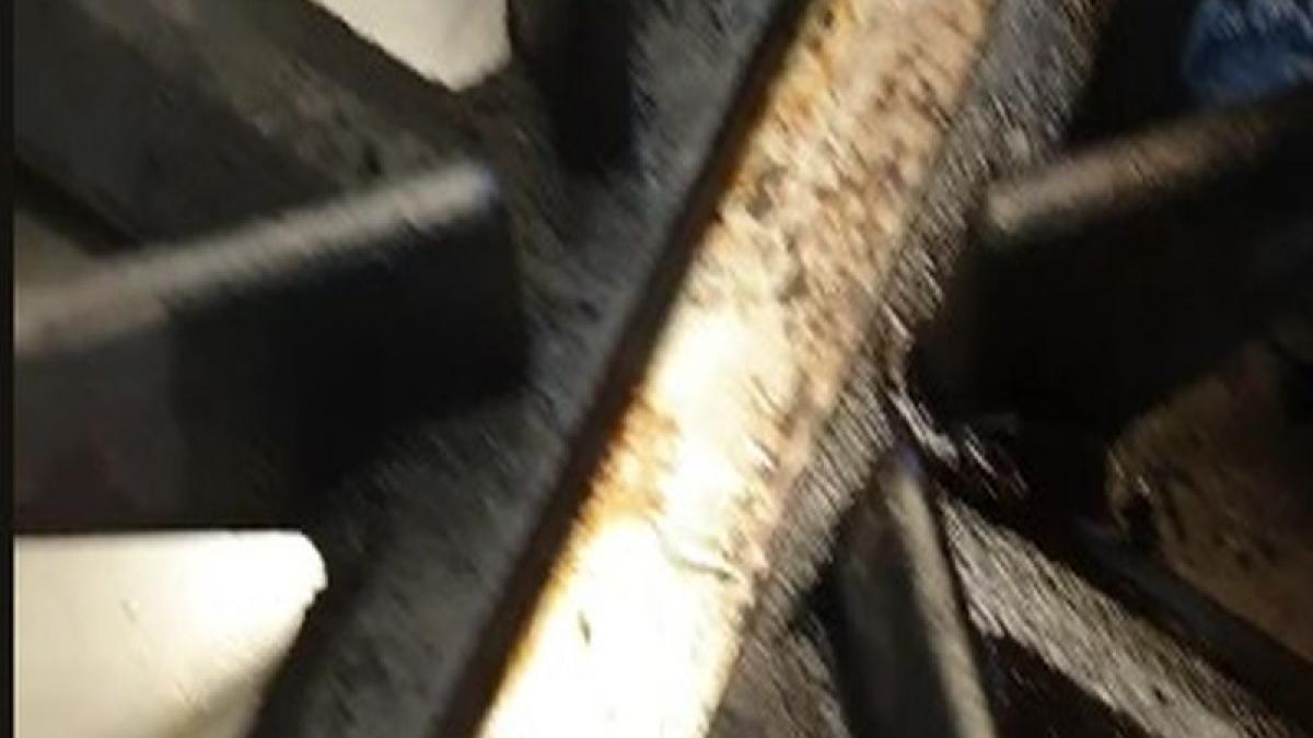 au intrat in bucataria unei firme de catering din timisoara si au fost cat pe aci sa lesine asa