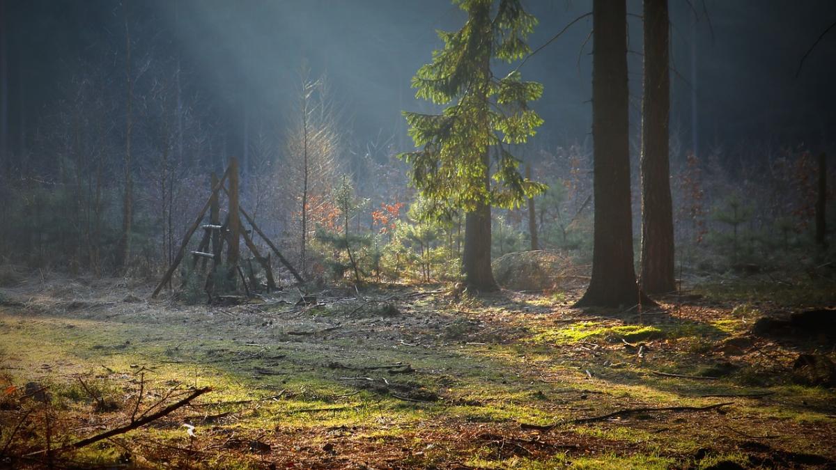 la fiecare sarbatoare mare intr o comuna din dolj se petrec fenomene de a dreptul bizare oamenii