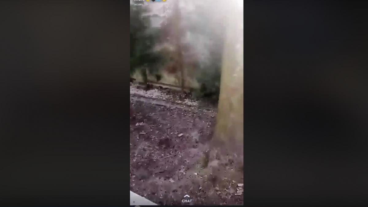 vlad a distribuit pe facebook un filmulet care a ingrozit pe toata lumea e de internat la