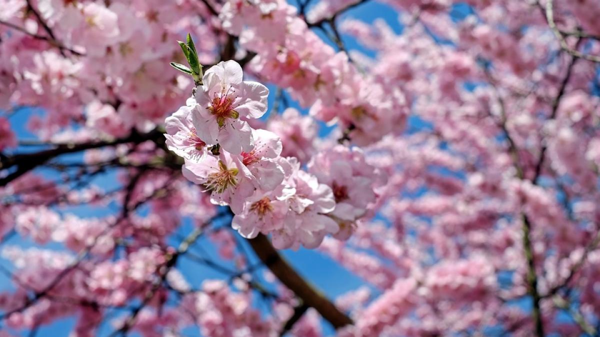 vremea prognoza meteo pentru zilele urmatoare de cand se incalzeste