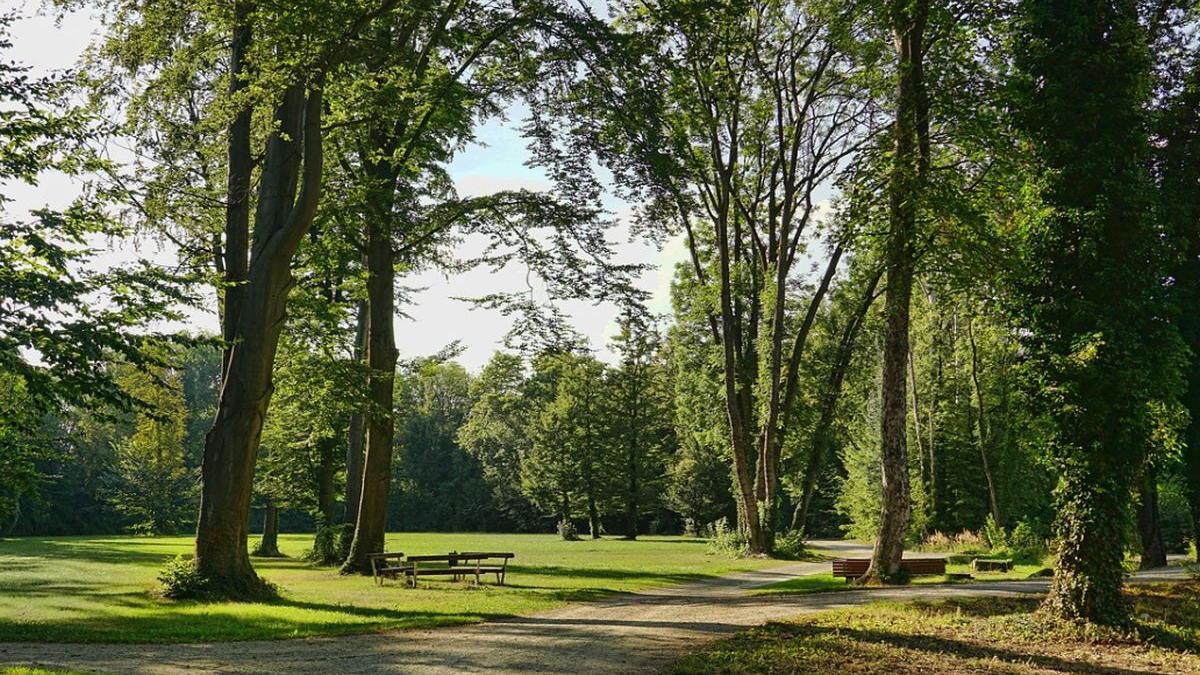anunt facut de primaria capitalei pana pe 10 aprilie se efectueaza tratamente de combatere a