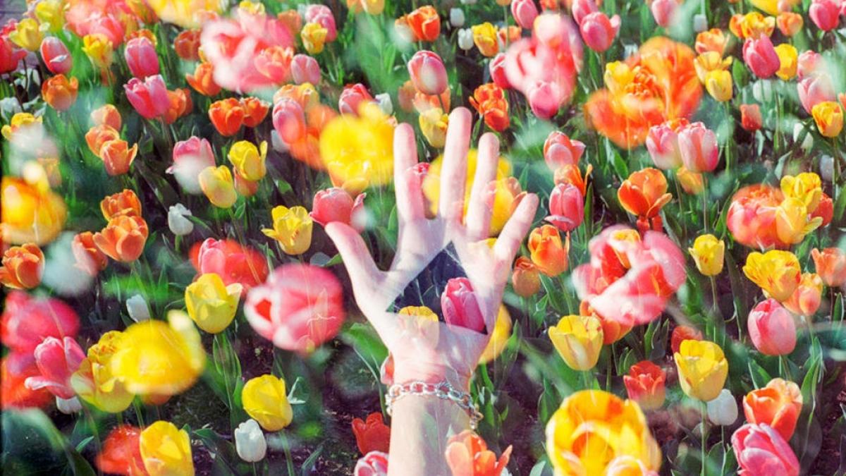 horoscop luna noua in berbec ce sfat trebuie sa urmezi in functie de zodia ta