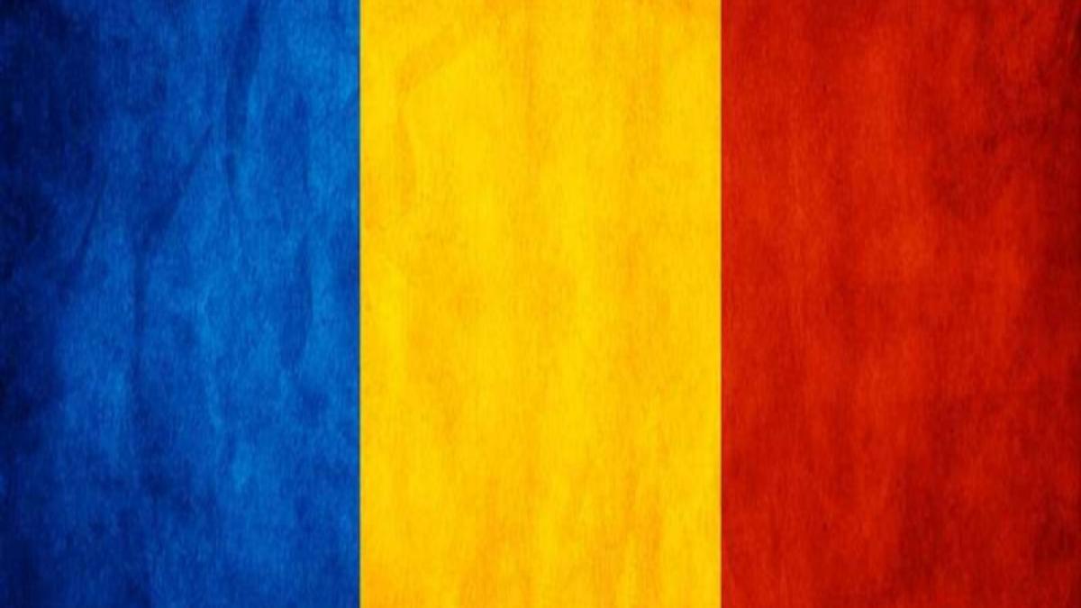 stimate candidat la alegerile europarlamentare p