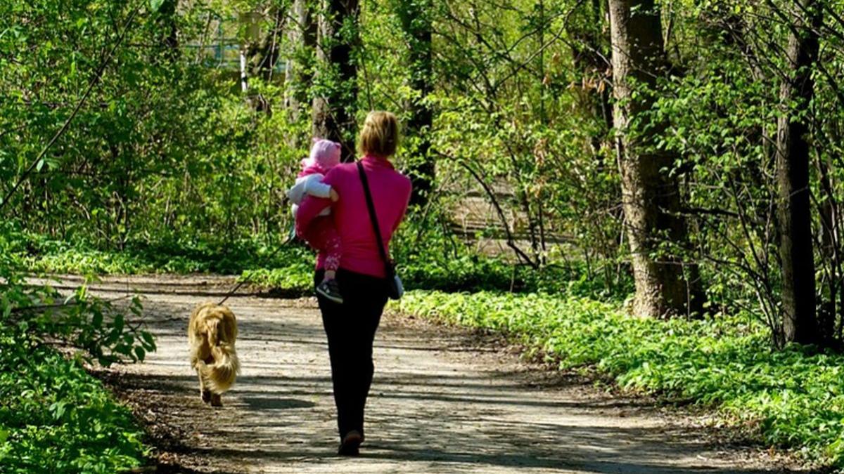 mare atentie la plimbarile in aer liber a inceput sezonul capuselor