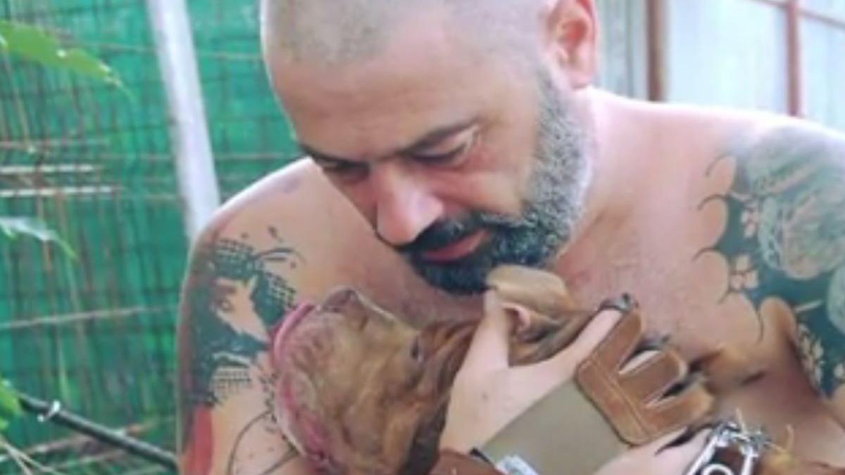 avocatul lui mihai plesu acuza i s a luat sange fara sa fie consultat are doua infarcturi