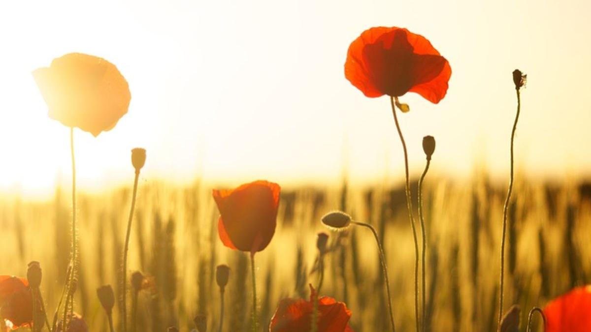 vremea meteorologii au facut anuntul ce se intampla cu vremea in zilele urmatoare