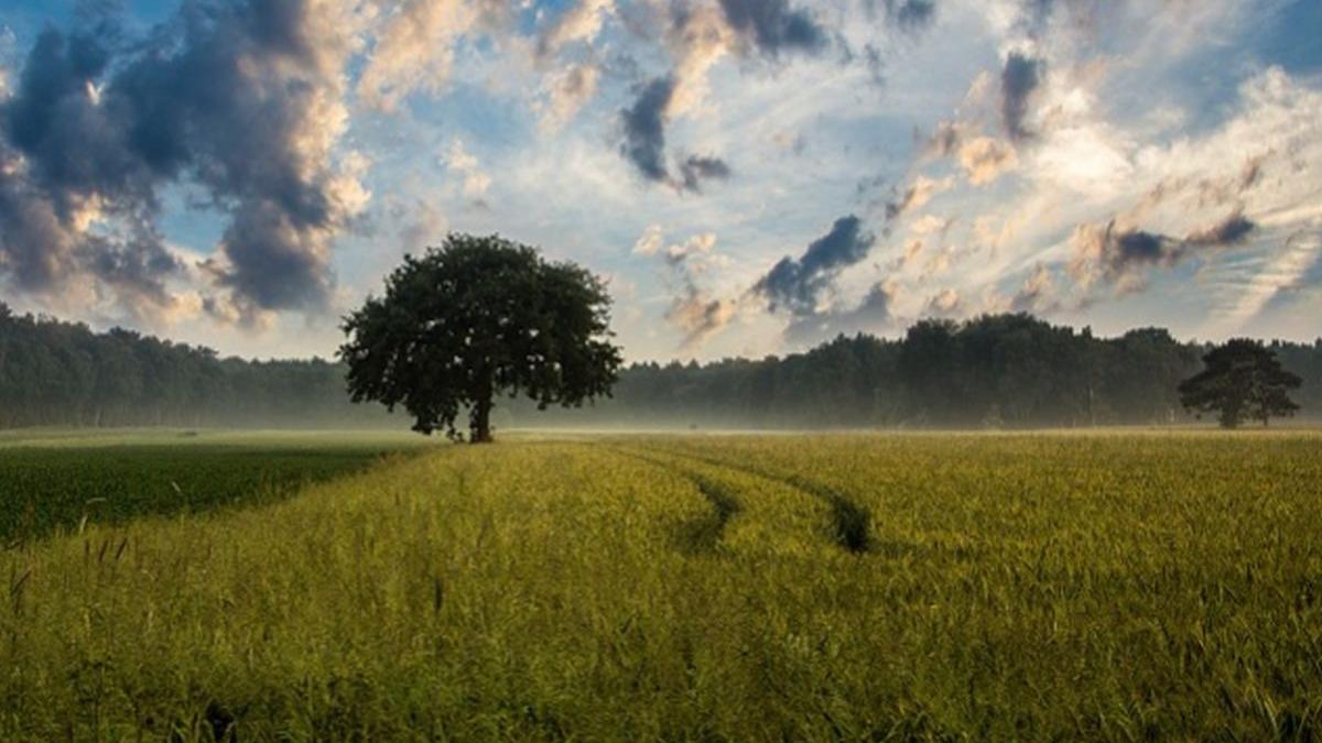 descoperire socanta facuta de un barbat in mijlocul campului a sunat imediat la politie