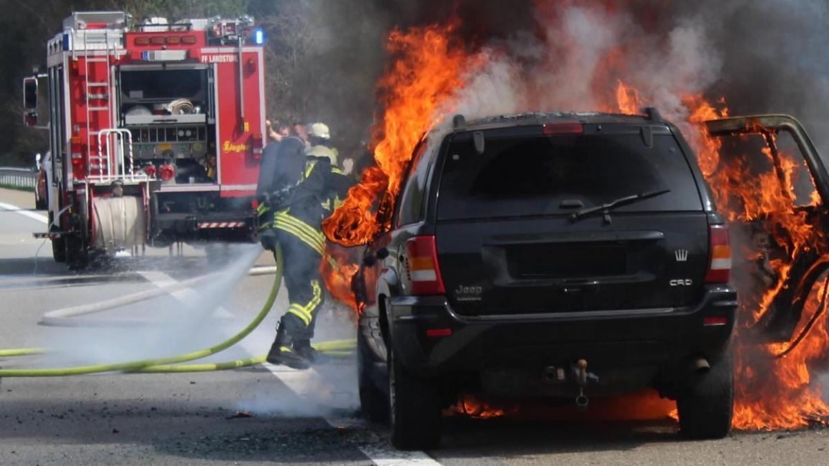 un roman erou in germania toata lumea il cauta sa i multumeasca