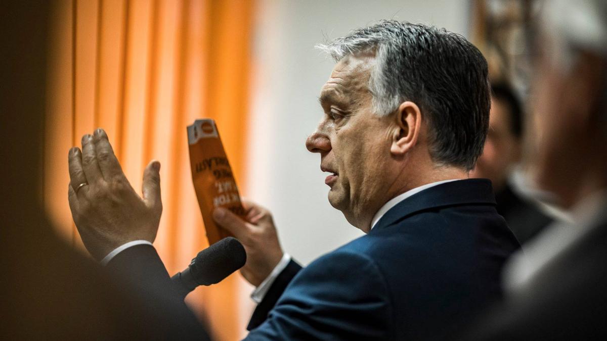 guvernul ungariei investeste intr o academie de fotbal la satu mare