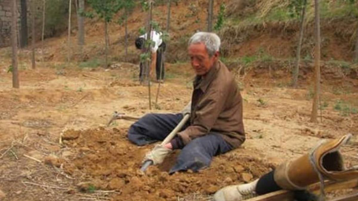 desi nu are picioare un batran de 70 ani a plantat 17 mii de copaci atata timp cat voi trai voi