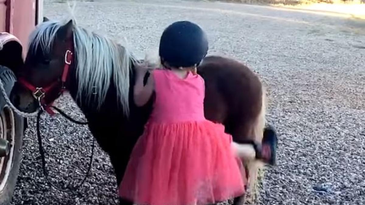 lectie importanta predata internautilor de o fetita de doar cinci ani incearca si incearca pana vei