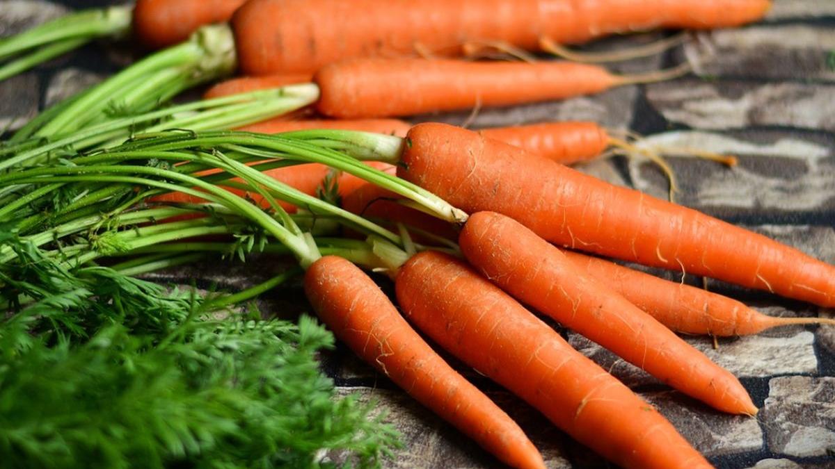 dieta cu morcovi scapa rapid de kilograme in doar sapte zile