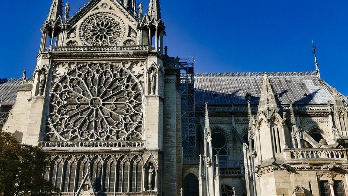 cocosul din turnul catedralei notre dame a fost gasit in moloz multi spun ca este un miracol foto