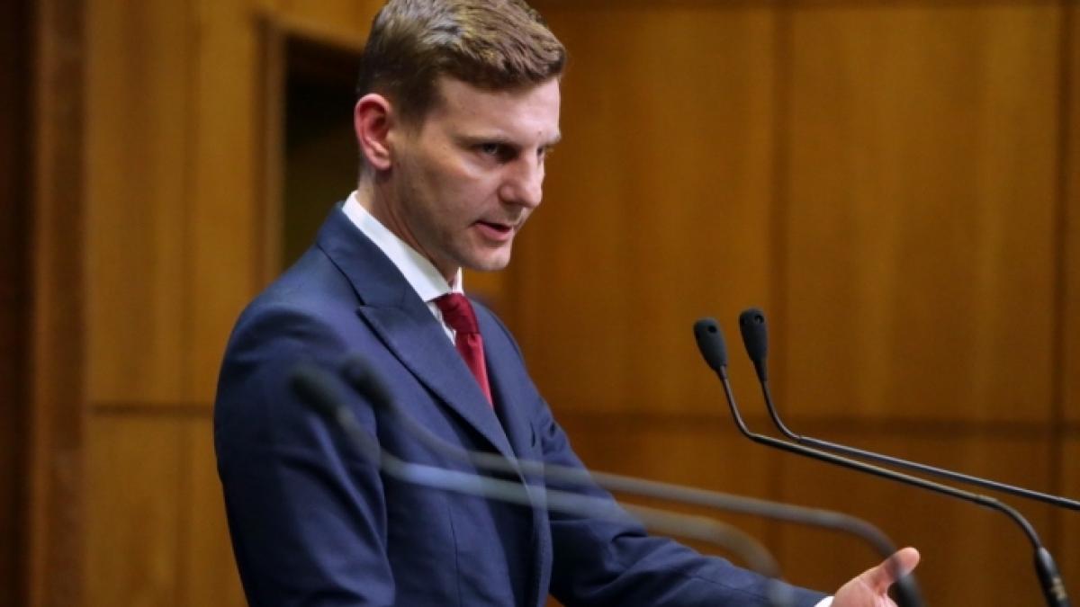 guvernul mareste lista activitatilor in care pot fi angajati zilieri