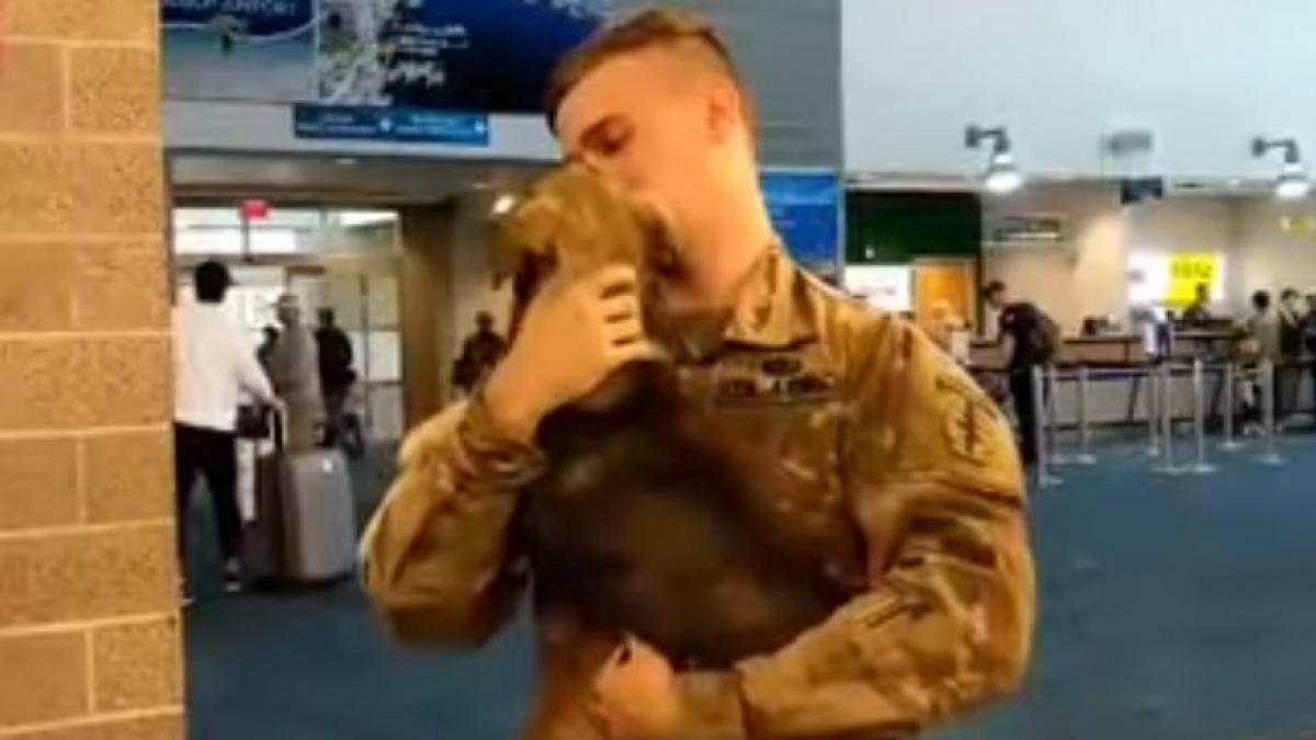 revederea emotionanta dintre un soldat intors de pe front si catelusa pe care a adoptat o cum a