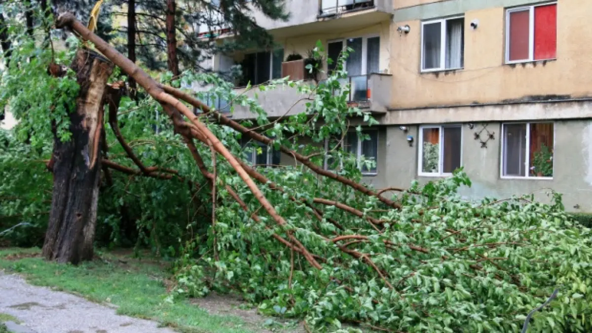 alerta meteo e cod galben de vant puternic zonele afectate