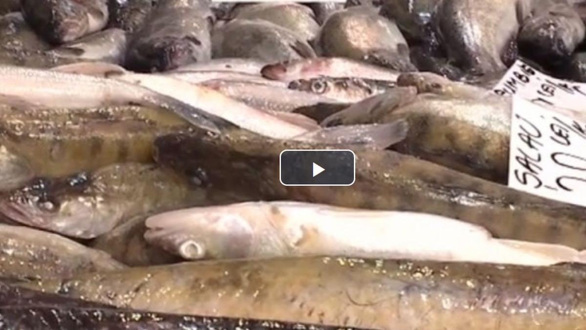 mare atentie inspectorii au descoperit peste putrezit scos la vanzare in mai multe magazine