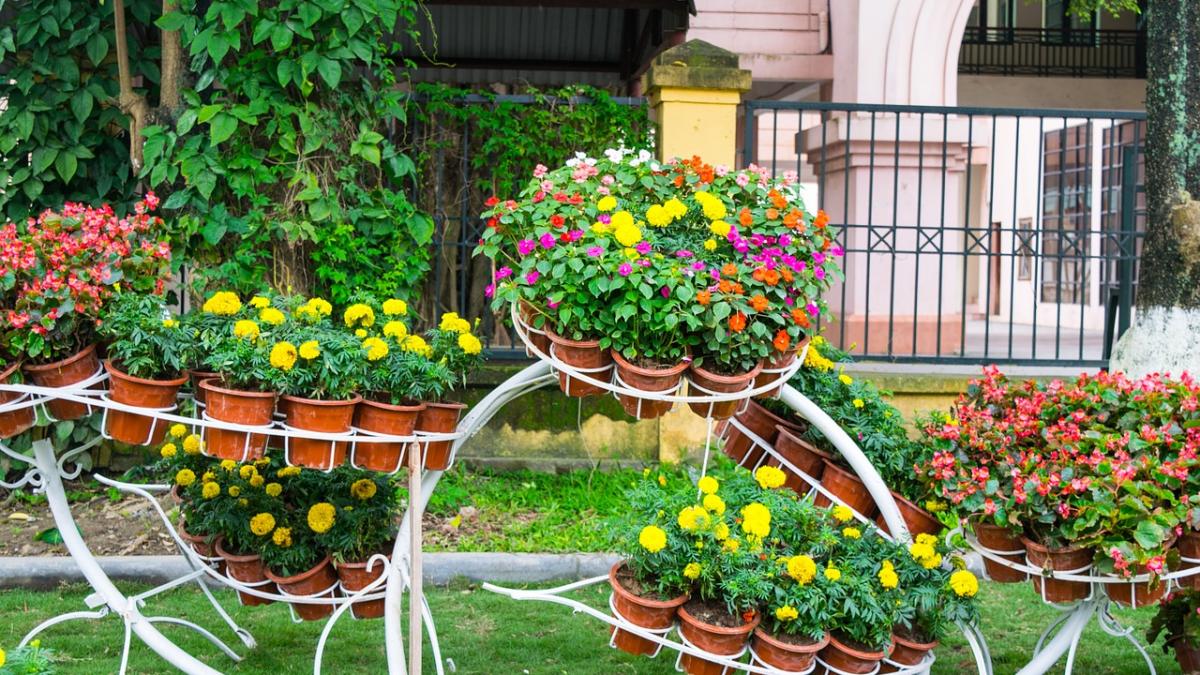 agricool cat costa sa va decorati gradina avem toate preturile