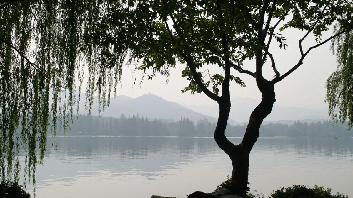 traditii de florii ce trebuie sa faci cu crengutele de salcie trebuie sa stii asta