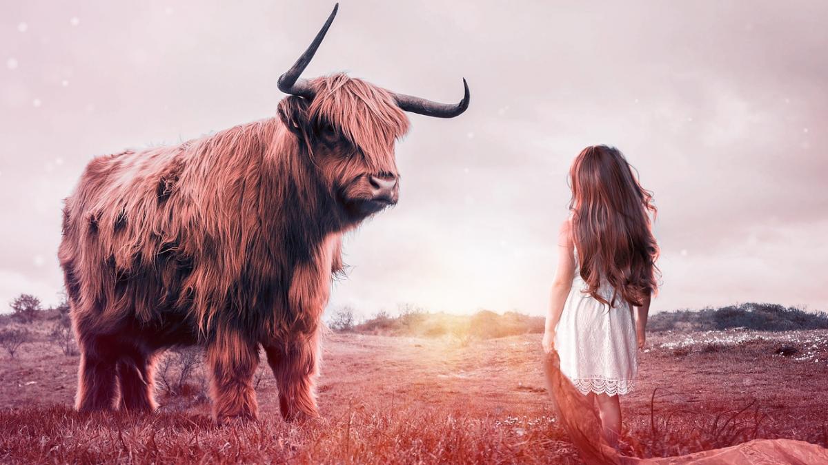 horoscop taur 2019 abordati problemele sistematic si cu tact nu sunteti incantati de schimbari