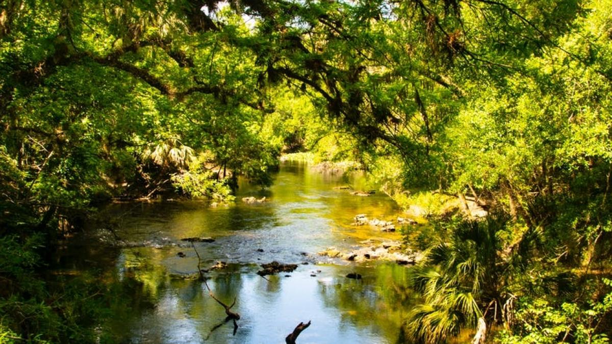 stateau linistiti pe malul unui rau si depanau amintiri cand la un moment dat ceva l a tras pe