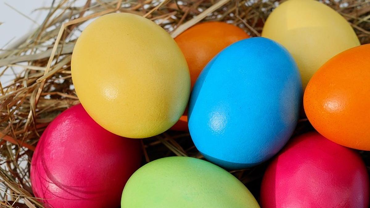 atentie la cifrele inscriptionate pe ouale din comert ce oua consuma romanii