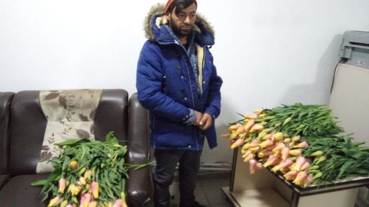 cate lalele a furat un hot din parcurile din iasi politistii l au urmarit o noapte intreaga