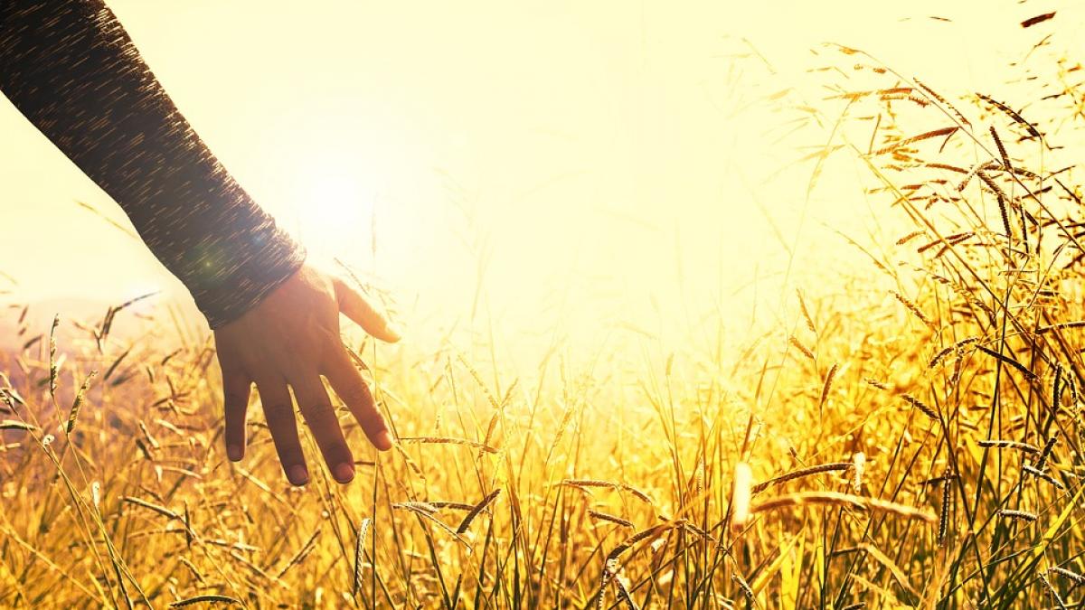 cum a aparut o tanara la un protest imaginile au ajuns virale foto