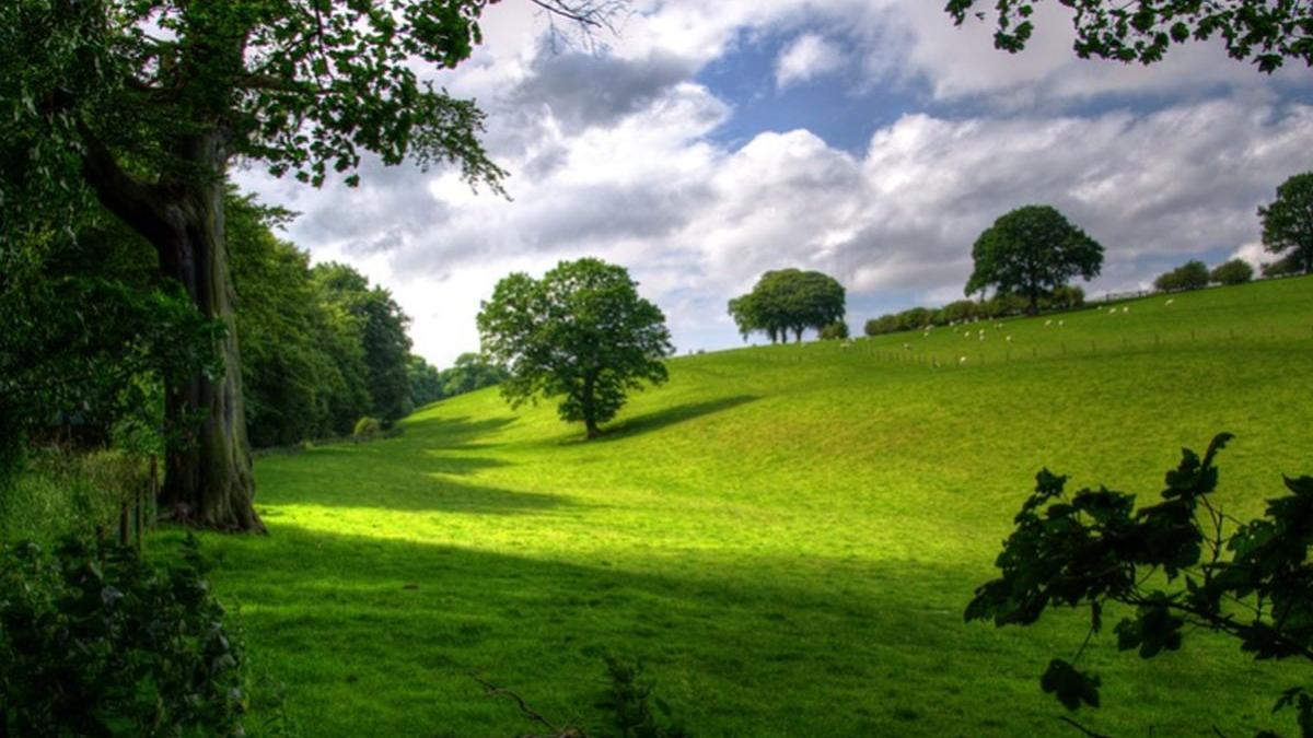 prognoza meteo in urmatoarele trei zile vremea se incalzeste usor